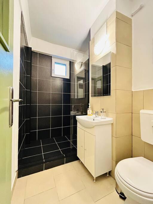 Cosy Apartment #12Lunipebega Timisoara Exterior photo