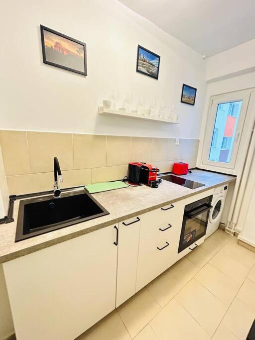 Cosy Apartment #12Lunipebega Timisoara Exterior photo